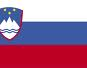 Slovenia: Analysis of Economic Developments in 1998 and Prospects for 1999