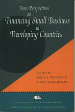 New Pperspectives on Financing Small Business in Developing Countries