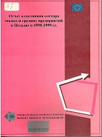 Отчет о состоянии сектора малых и средних предприятий в Польше в 1998-1999 гг.