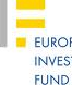 Annual Report EIF 2006