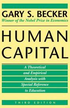 Human Capital  